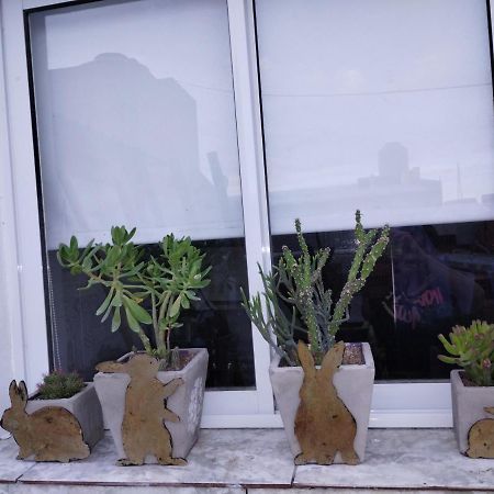 Apartamento Lu-Mar Comodoro Rivadavia Exterior foto